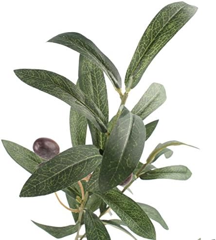 Artificial Olive Branches 5pcs 28 Inch Realistic
