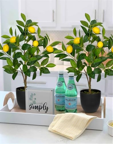 2Ft Artificial Lemon Trees 2 Pack Indoor with Black Pots
