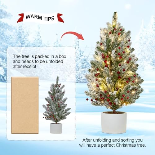 2 Ft Mini Prelit Frosted Christmas Tree with 50 LED Lights