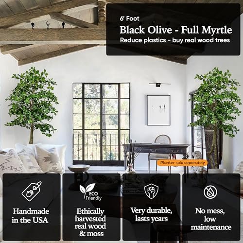 Cypress Alabaster 6ft Italian Black Olive Leaf Artificial Tree with Real Wood Trunk