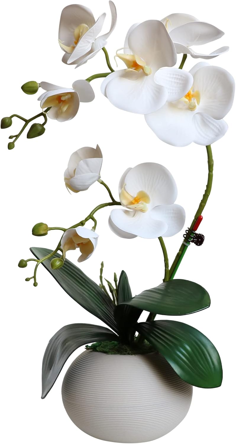 Forlaoers White Real Touch Orchid Artificial Flowers with Vase