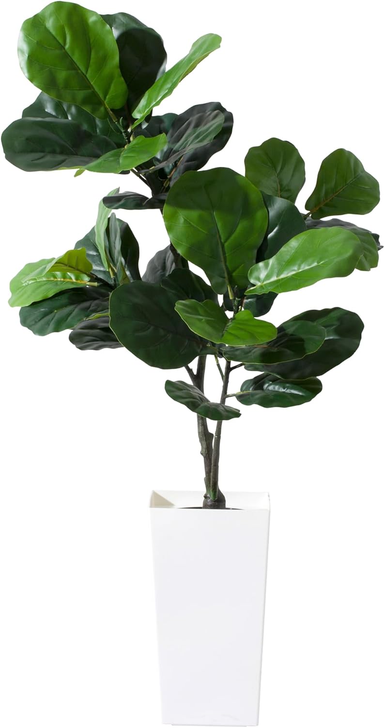 Artificial Fiddle Leaf Fig Tree 5FT Silk with White Planter
