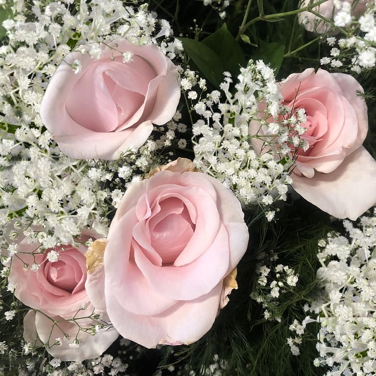 Huoter Artificial Baby Breath Flowers 20 Stem White Set