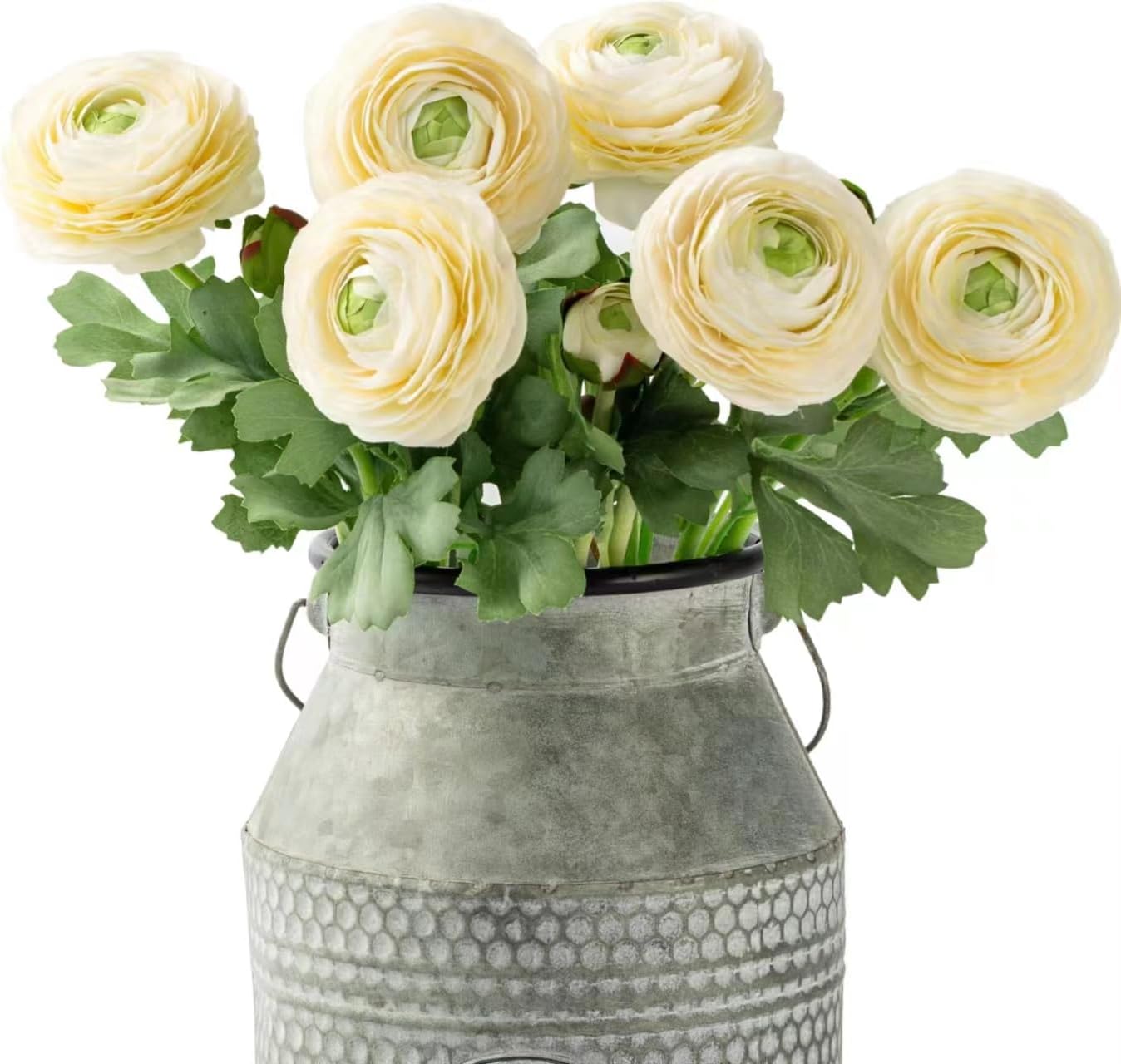 TOPIA Artificial Ranunculus Flowers 6 Pack White