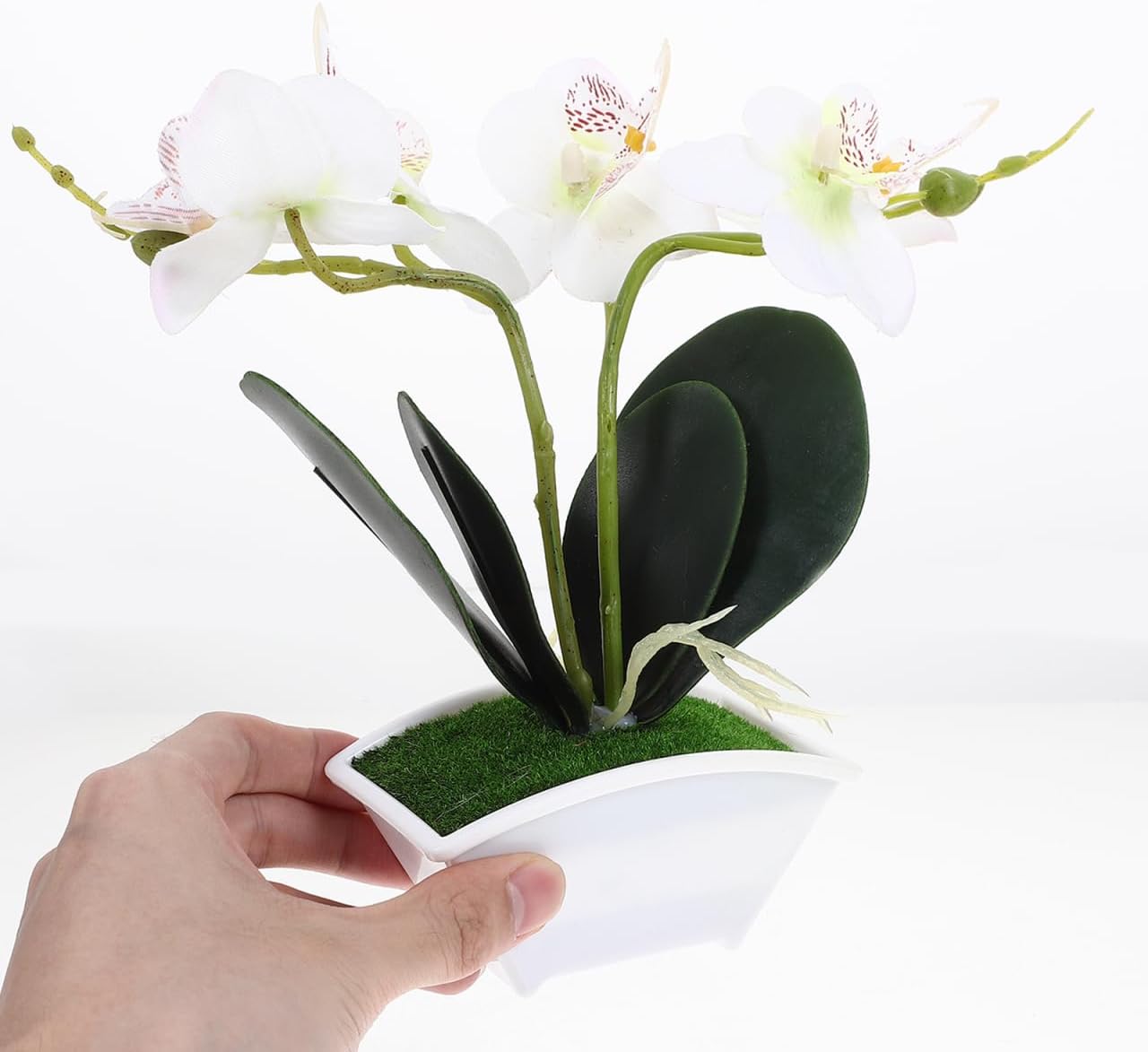 POPETPOP Artificial Orchid Flowers in Ceramic Pot White