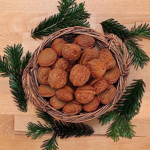 Hagao Fake Walnut Artificial Vegetables 20PCS Kitchen Decoration