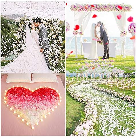 Rose Petals Ivory 1200pcs Artificial Silk Flower Petals for Wedding Centerpieces