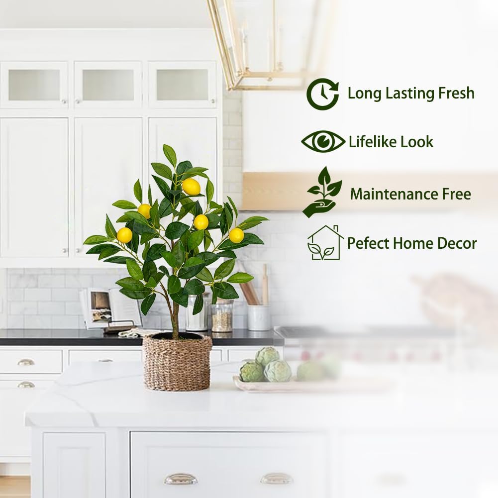 2Ft Artificial Lemon Trees 2 Pack Indoor with Black Pots