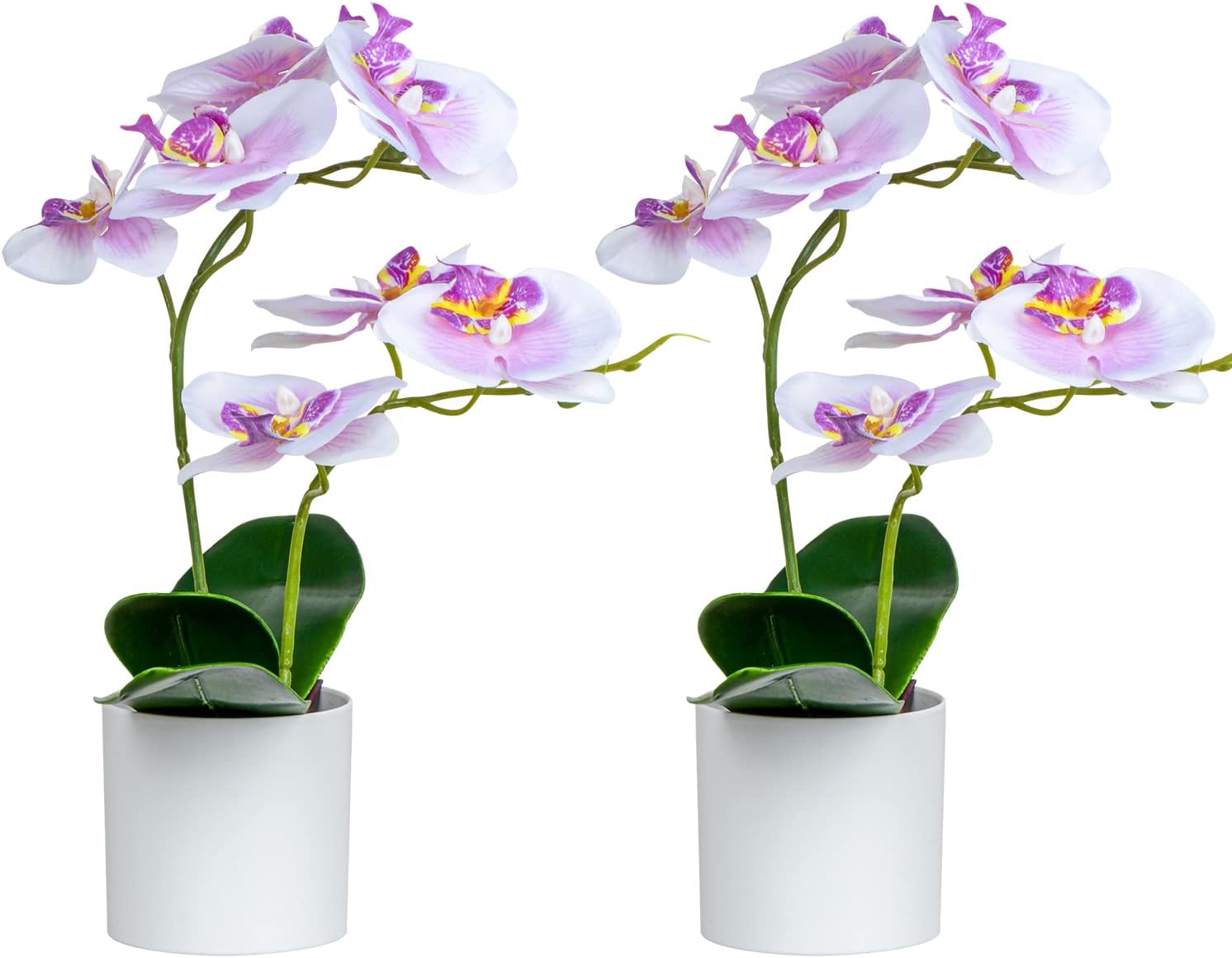 XONOR Artificial Orchid Flowers Potted with Plastic Vase