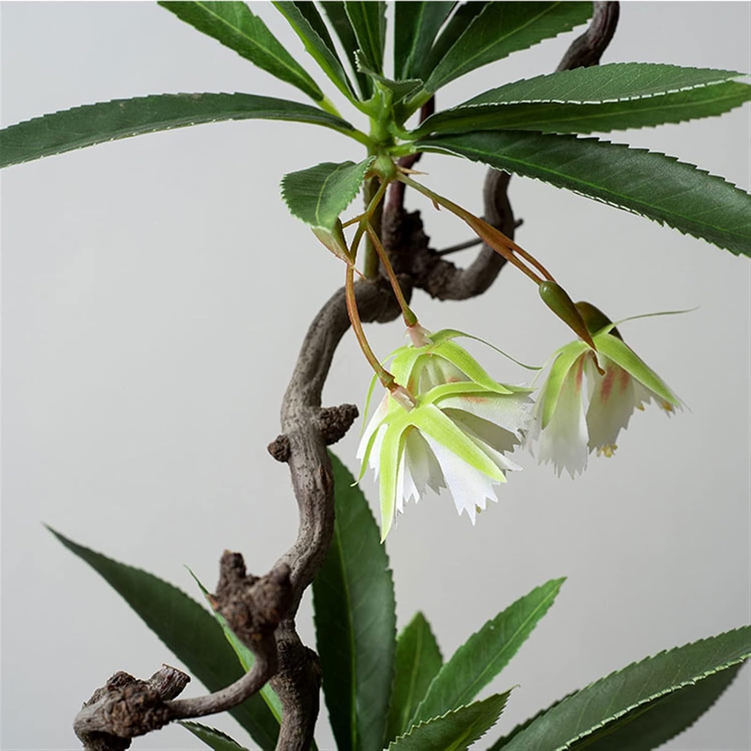 FAFACAI Artificial Bonsai Tree with Vase