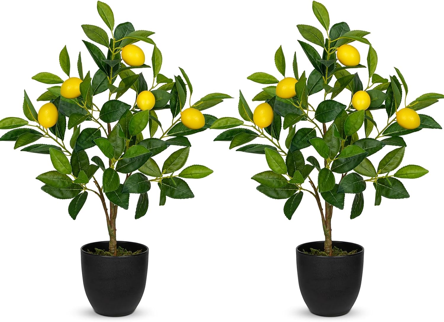 2Ft Artificial Lemon Trees 2 Pack Indoor with Black Pots