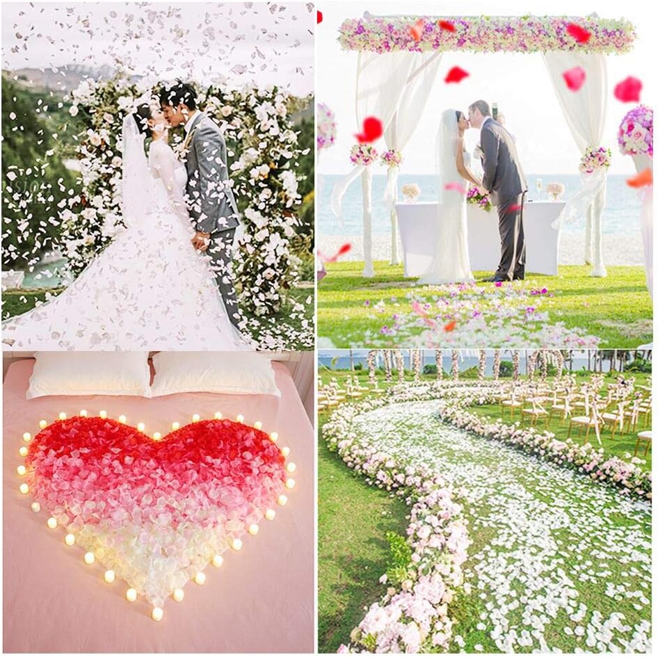Rose Petals Ivory 1200pcs Artificial Silk Flower Petals for Wedding Centerpieces