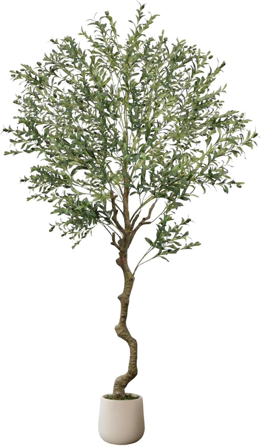 7FT Artificial Olive Tree with White Planter