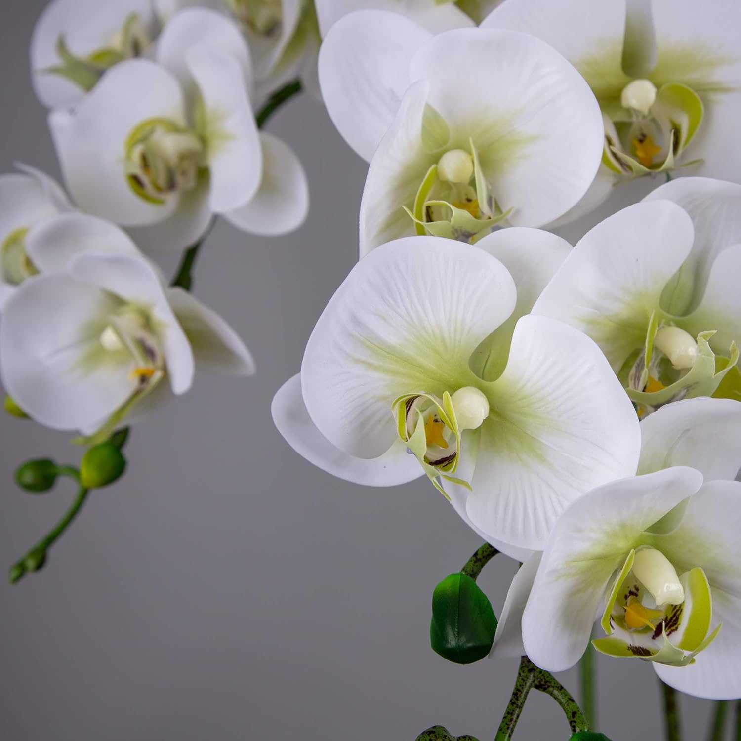 Fnize Faux Orchid Stems Artificial Phalaenopsis Flowers 38 Inches 2pcs Green White