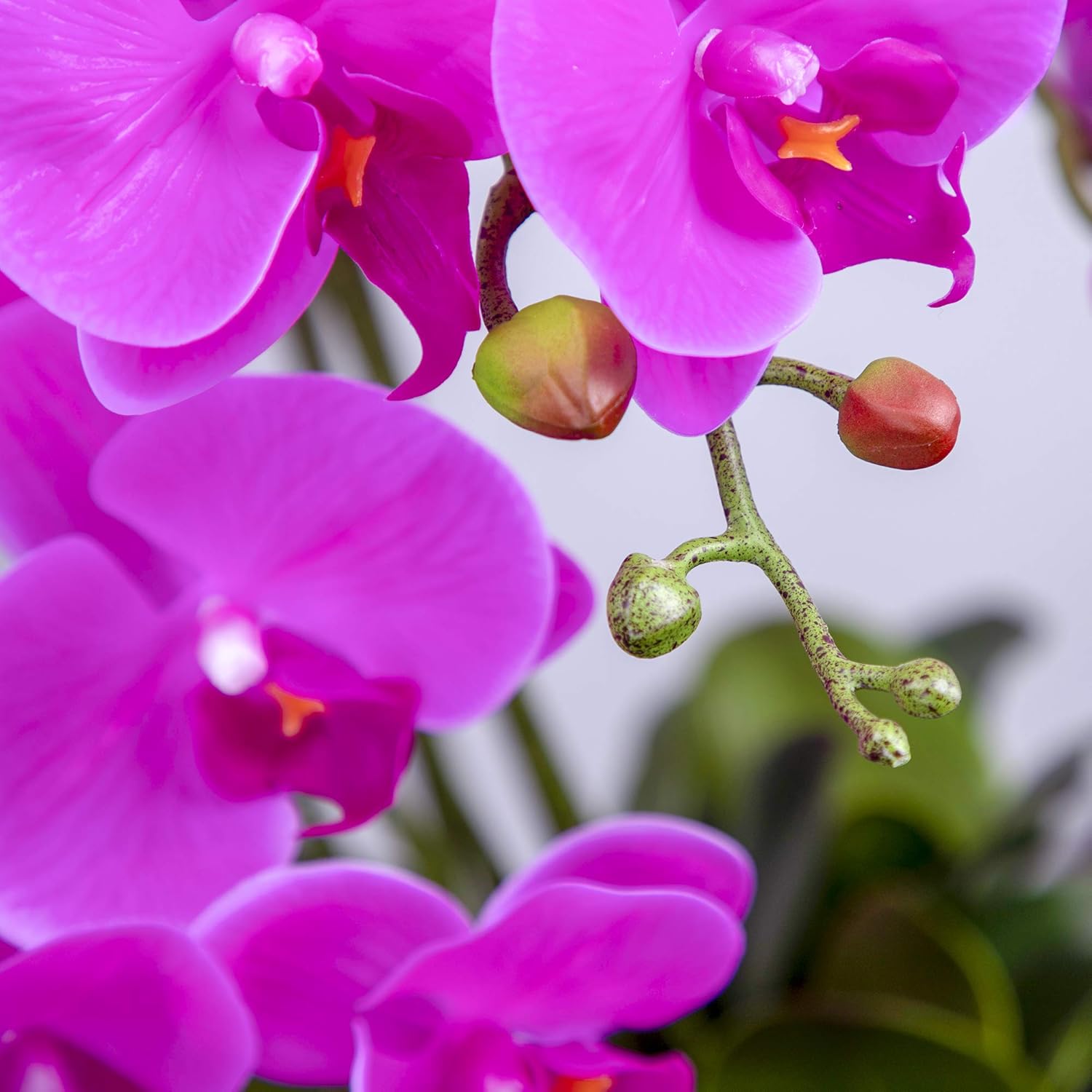 Fnize Artificial Orchid Stems with 9 Large Petals 38 Inches 2pcs Rose Red