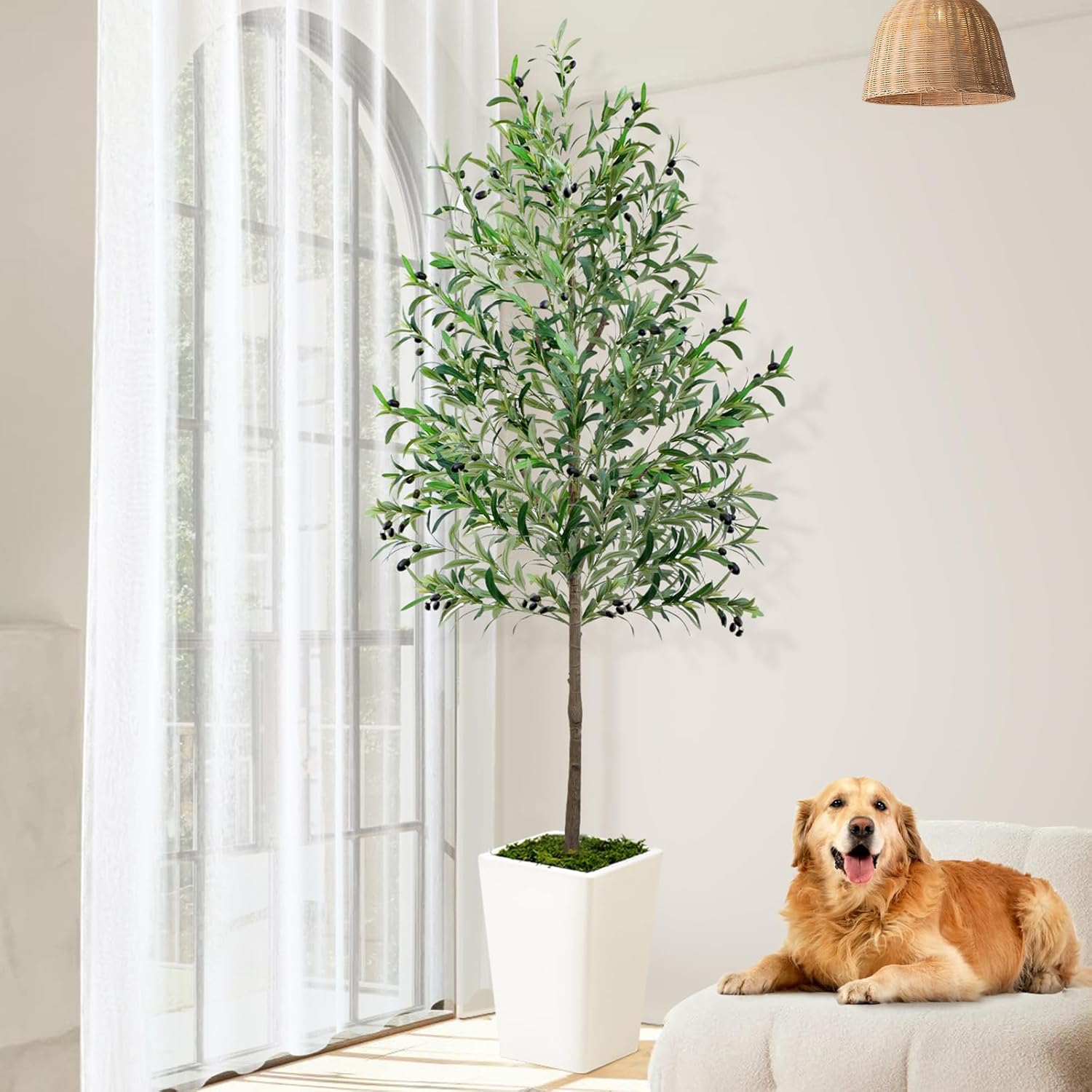 7ft Artificial Olive Tree with Realistic Fruits and Natural Wood Trunk