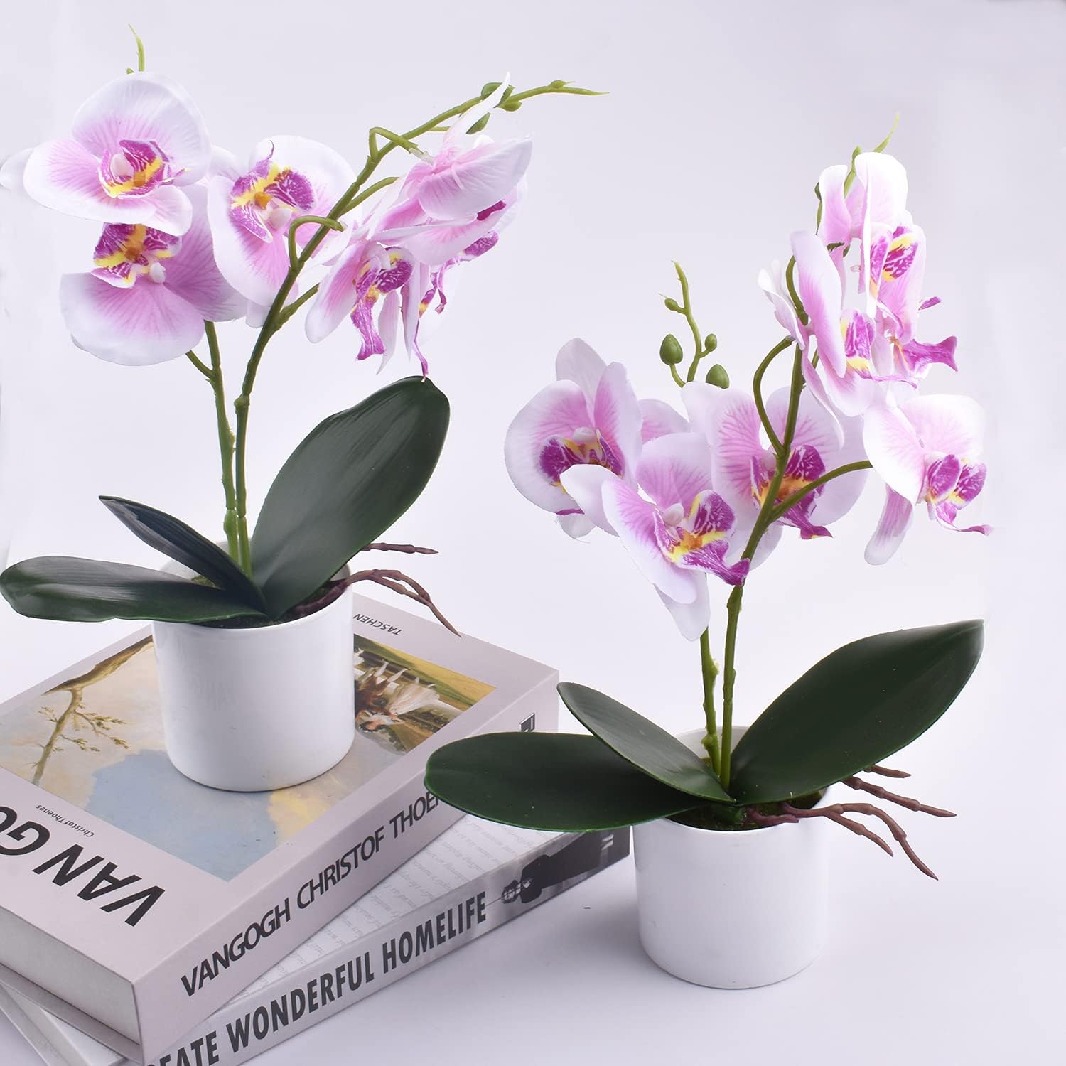 XONOR Artificial Orchid Flowers Potted with Plastic Vase
