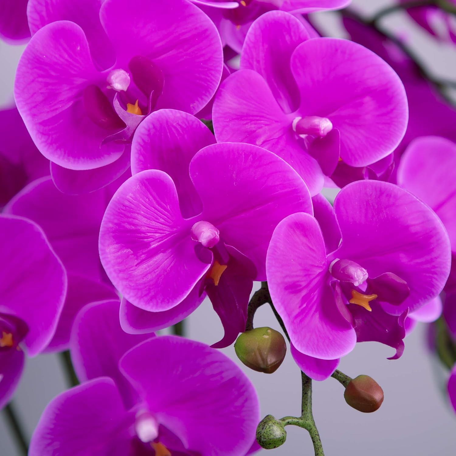 Fnize Artificial Orchid Stems with 9 Large Petals 38 Inches 2pcs Rose Red