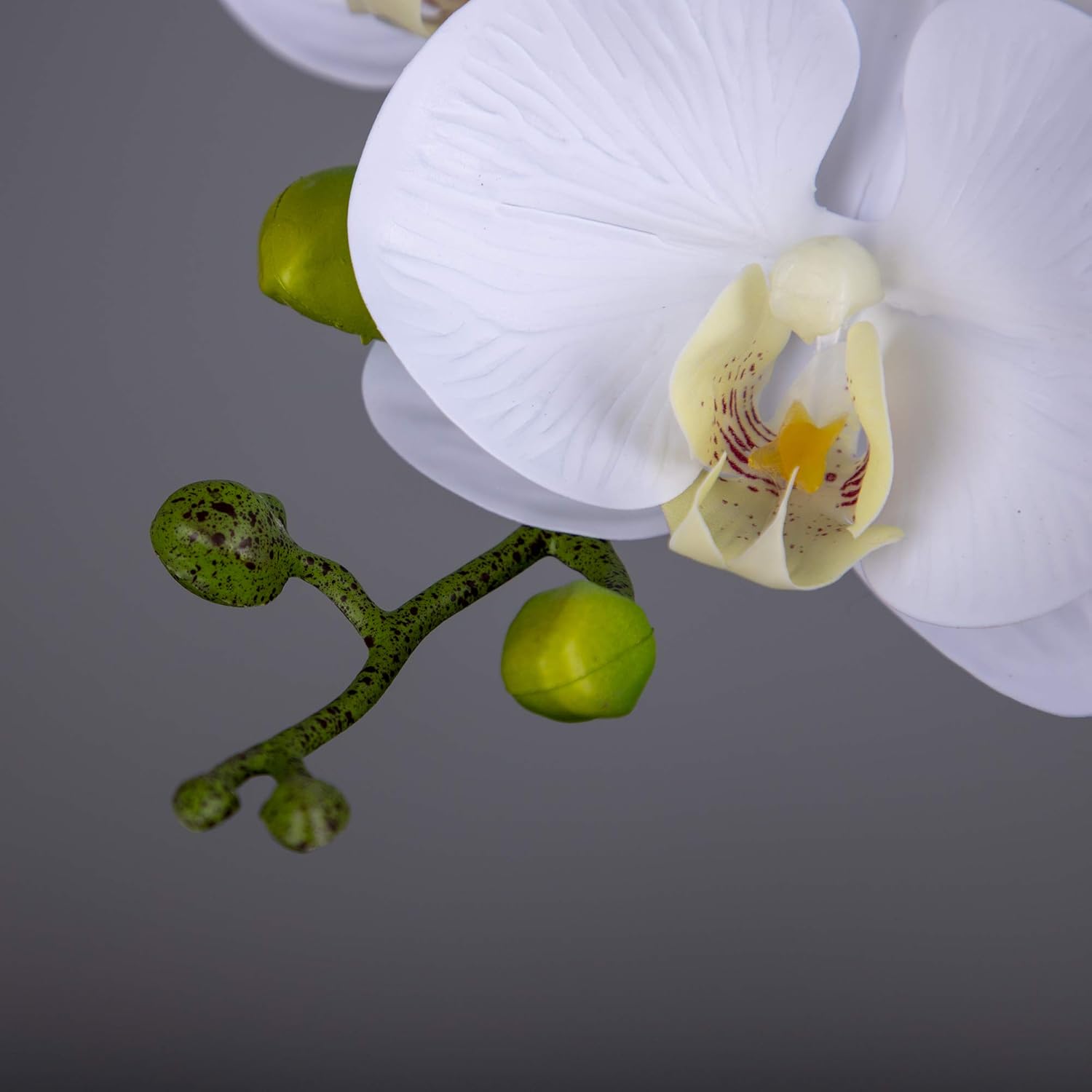 Fnize Artificial Orchid Real Touch 38 Inches 2pcs White