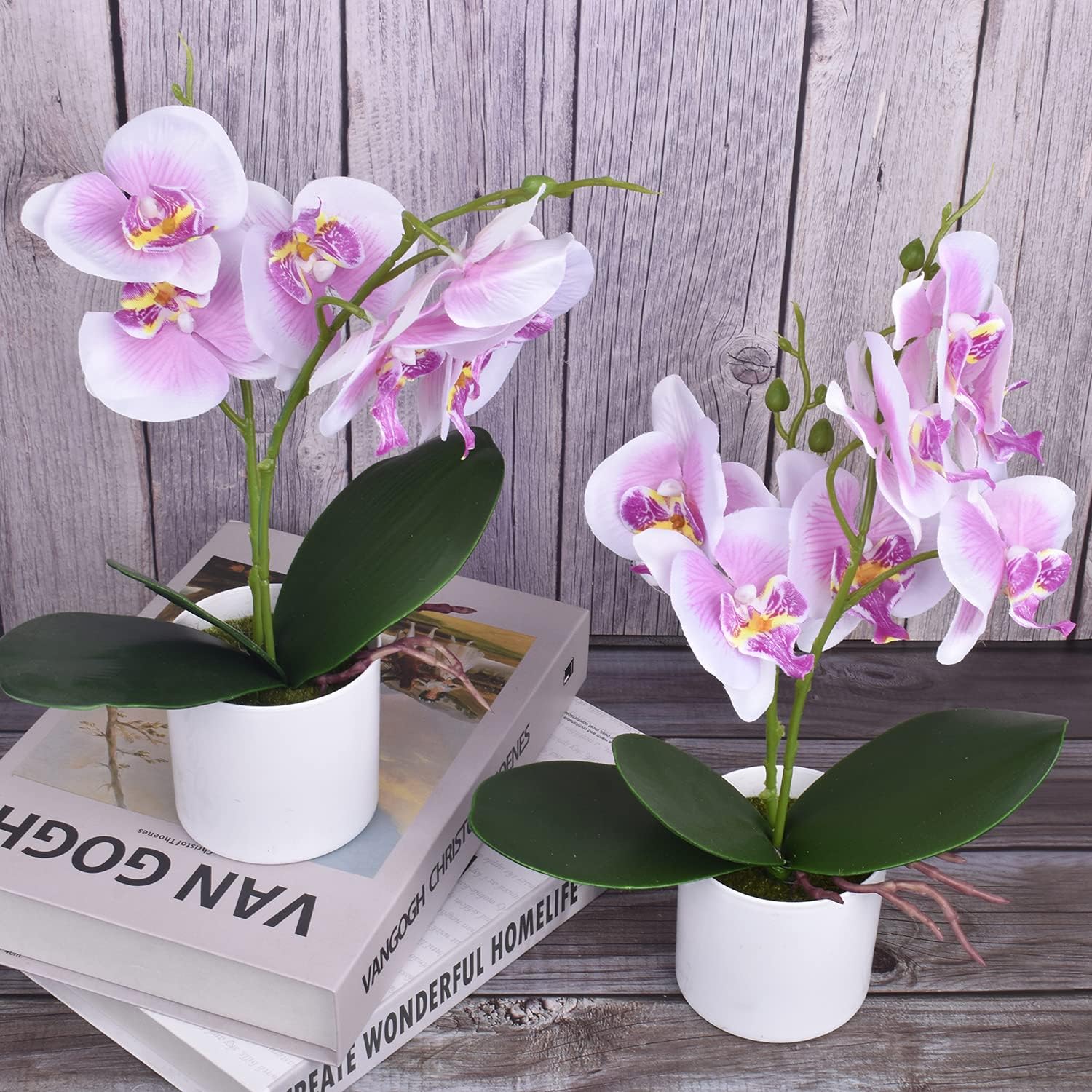 XONOR Artificial Orchid Flowers Potted with Plastic Vase