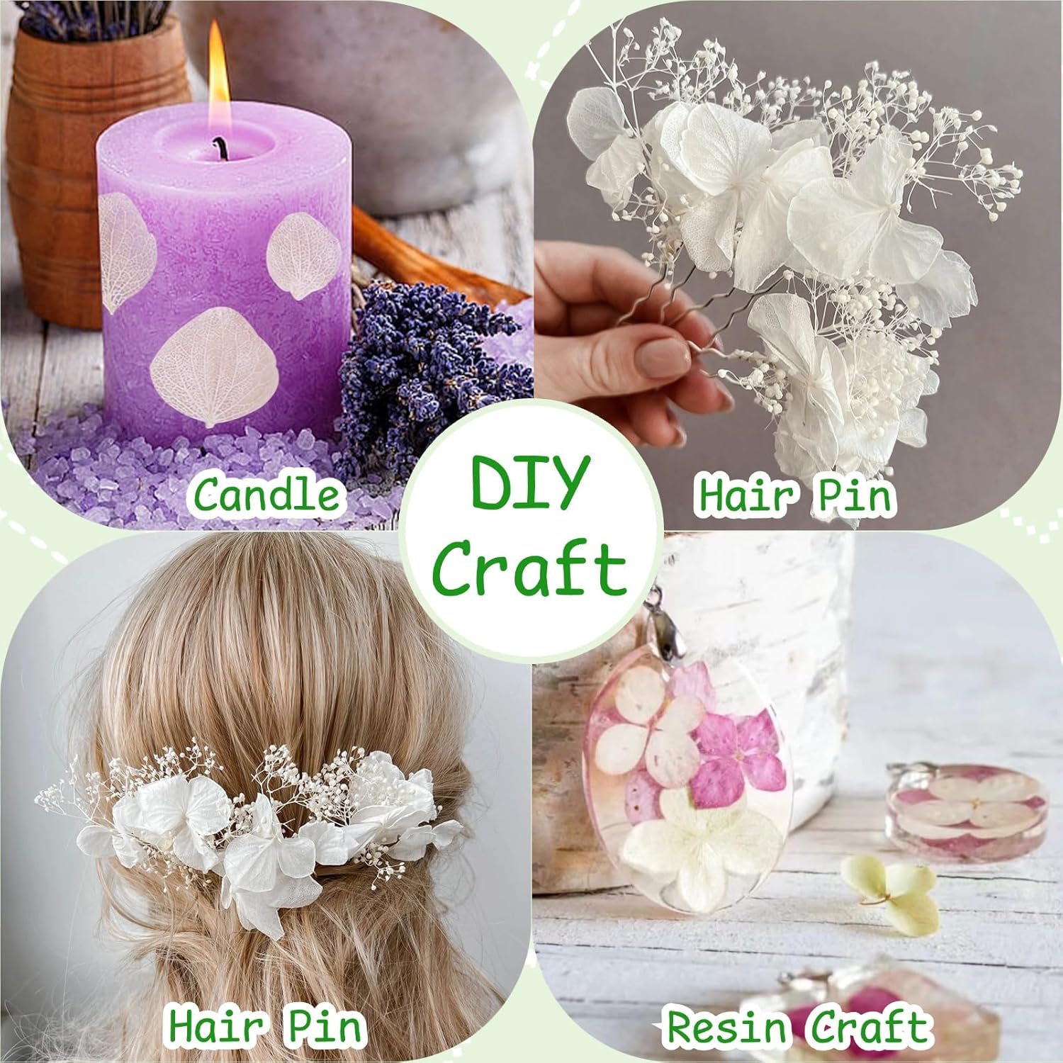1500Pcs Real Dried Ivory White Hydrangea Petals