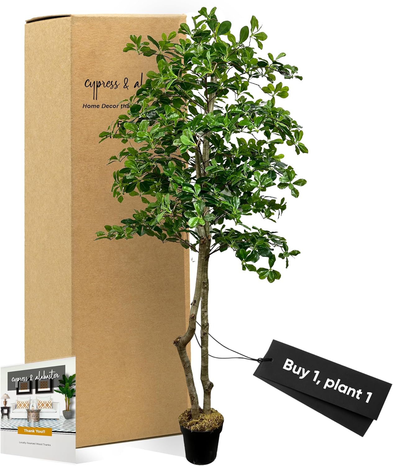 Cypress Alabaster 6ft Italian Black Olive Leaf Artificial Tree with Real Wood Trunk