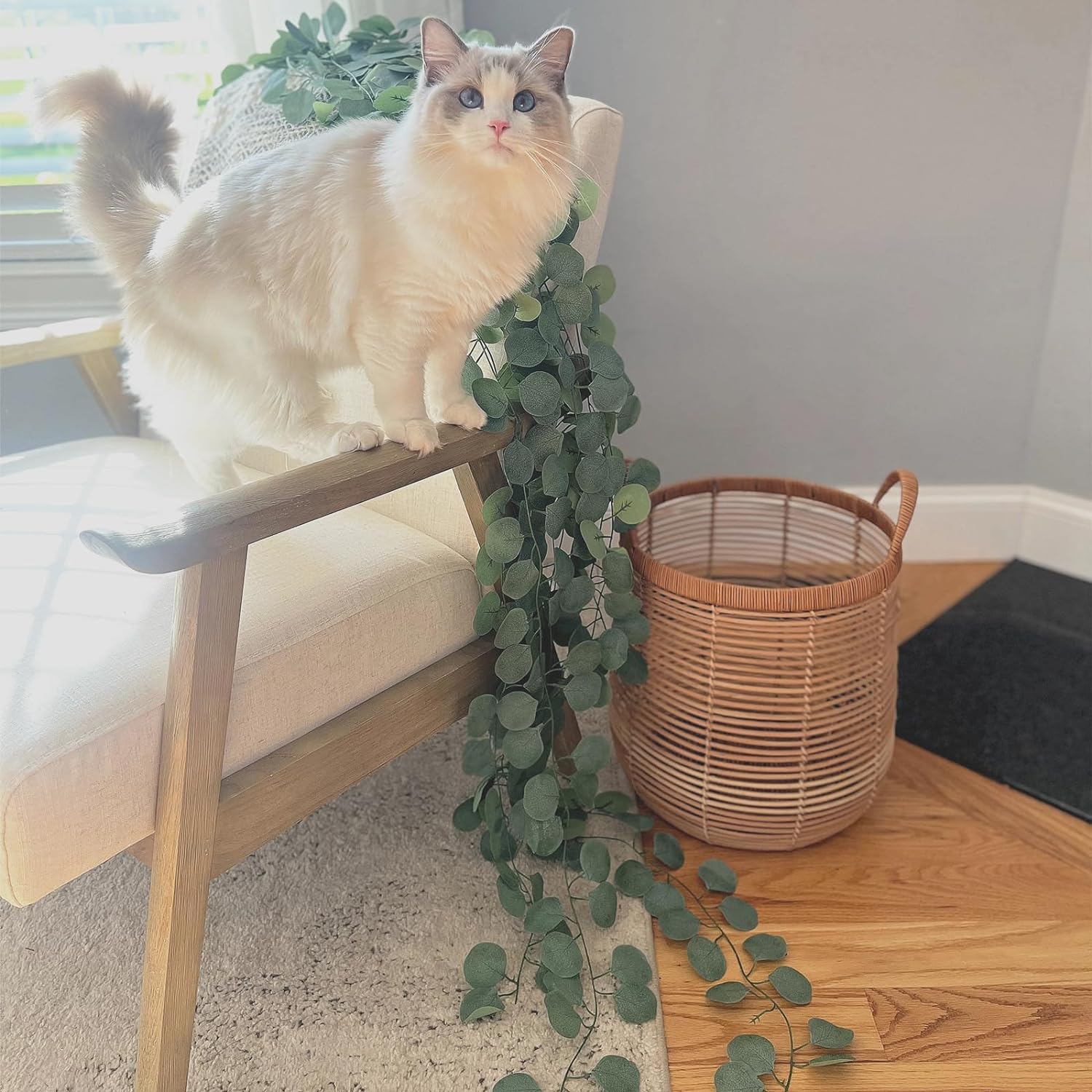 CQURE 24 Pack Eucalyptus Garland for Decor