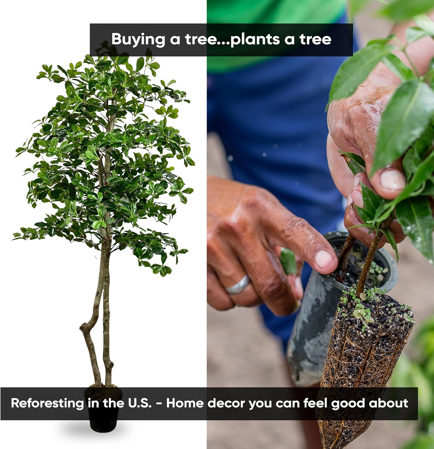 Cypress Alabaster 6ft Italian Black Olive Leaf Artificial Tree with Real Wood Trunk